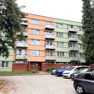 Pronájem bytu 1+kk a garsoniéry 19 m² Pelhřimov, Dolnokubínská