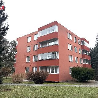 Prodej bytu 1+kk a garsoniéry 25 m² Brno, Brožíkova