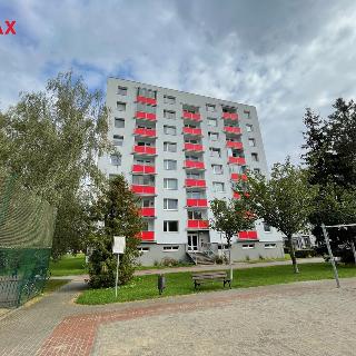 Prodej bytu 3+1 73 m² Pardubice, Jana Zajíce