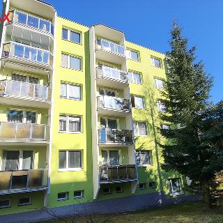 Pronájem bytu 1+1 38 m² Třebíč, Benešova