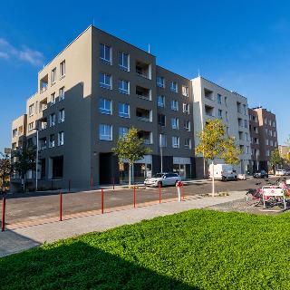 Pronájem bytu 2+kk 59 m² Praha, Kolmanova