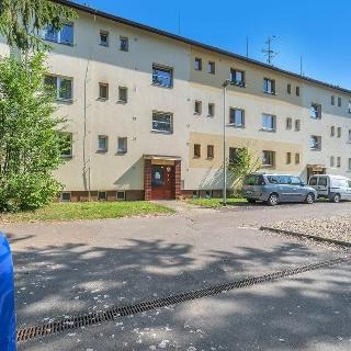 Pronájem bytu 2+1 56 m² Pardubice, Lexova