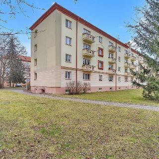 Pronájem bytu 3+1 71 m² Pardubice, Jiránkova