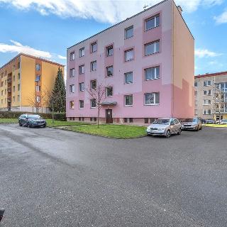 Pronájem bytu 3+1 58 m² Opočno, Krátká