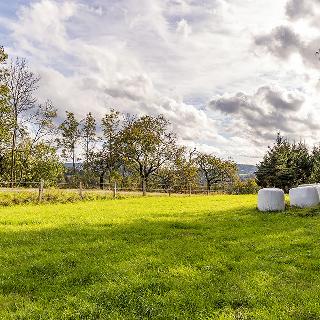 Prodej stavební parcely 1 135 m² Žandov