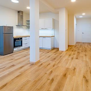 Prodej bytu 2+1 75 m&sup2; Česká Lípa