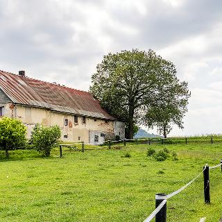 Prodej zemědělské usedlosti 920 m² Česká Lípa, 