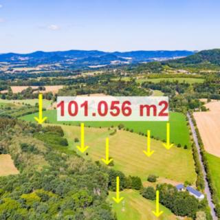Prodej louky 101056 m² Zákupy