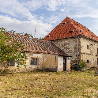 Prodej zemědělské usedlosti 2 500 m² Počedělice, 