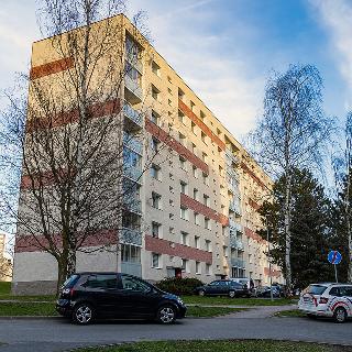 Prodej bytu 3+1 70 m² Česká Lípa, Střelnice