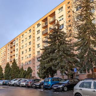 Prodej bytu 2+1 56 m² Česká Lípa, Červeného kříže