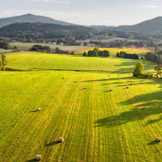 Prodej zemědělské usedlosti 1000 m² Jablonné v Podještědí