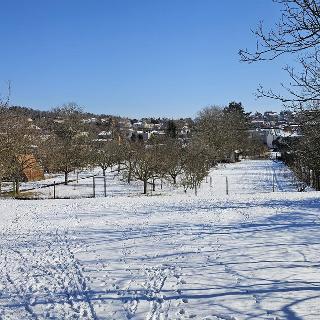 Prodej stavební parcely 523 m² Brno, Střelnice