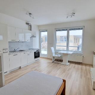 Pronájem bytu 1+kk a garsoniéry 35 m² Praha, Klausova