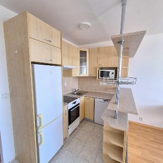 Pronájem bytu 2+kk 50 m² Praha, Štúrova