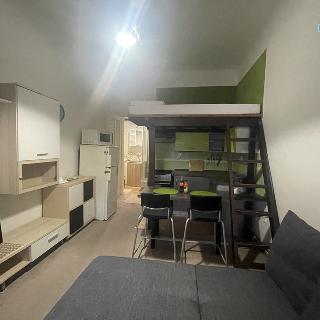 Pronájem bytu 1+kk a garsoniéry 25 m² Praha, Bulharská