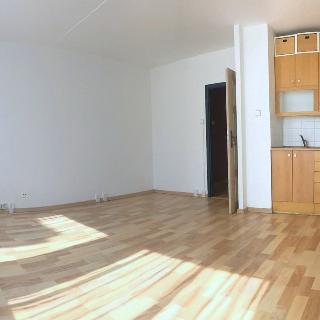 Pronájem bytu 1+kk a garsoniéry 30 m² Praha, Pivcova