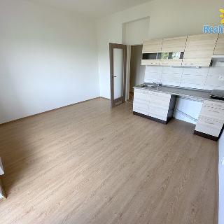 Pronájem bytu 1+kk a garsoniéry 30 m² Praha, Hadovitá