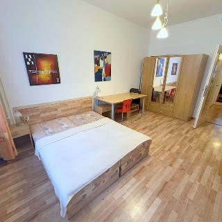 Pronájem bytu 1+1 35 m² Praha, Opletalova