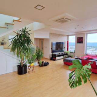 Prodej bytu 4+kk 446 m&sup2; Brno