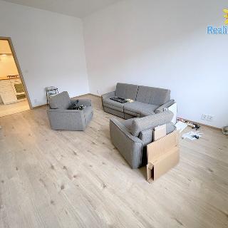 Pronájem bytu 2+1 55 m² Praha, Za Zelenou liškou