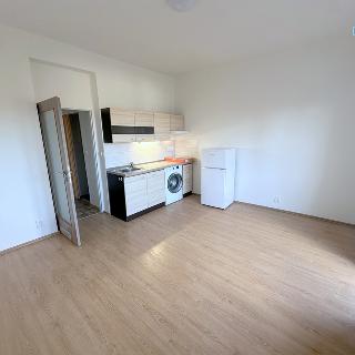 Pronájem bytu 1+kk a garsoniéry 30 m² Praha, Hadovitá