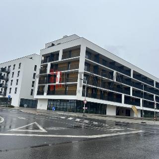 Pronájem bytu 1+kk a garsoniéry 33 m² České Budějovice, Vrbenská