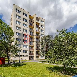 Pronájem bytu 1+kk a garsoniéry 29 m² České Budějovice, Fr. Ondříčka