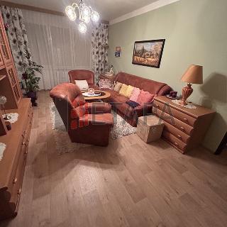 Pronájem bytu 2+1 66 m² České Budějovice, J. Opletala