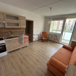Pronájem bytu 2+kk 46 m² České Budějovice 2, Krčínova