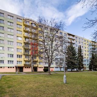 Prodej bytu 2+1 49 m² České Budějovice, Plzeňská