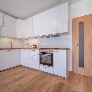 Pronájem bytu 2+kk 75 m² České Budějovice, Františka Jelena