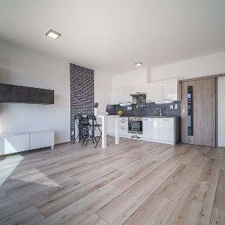 Prodej bytu 1+kk a garsoniéry 43 m² České Budějovice, Na Zlaté stoce