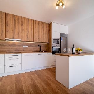 Pronájem bytu 2+kk 64 m² České Budějovice, Františka Jelena