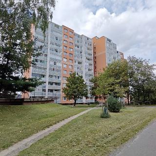 Prodej bytu 1+1 43 m² Praha, Slévačská