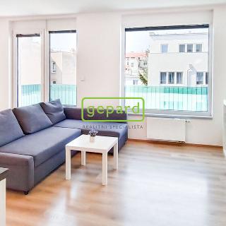 Pronájem bytu 2+kk 56 m² Brno, U Červeného mlýna