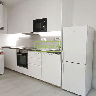 Pronájem bytu 2+kk 31 m² Brno, Durďákova