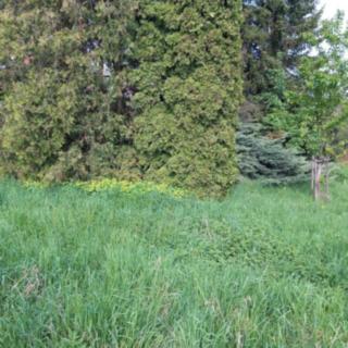 Prodej stavební parcely 308 m² Blansko, 