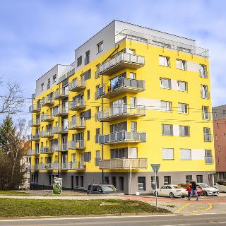 Pronájem bytu 2+kk 50 m² Jihlava, Vrchlického