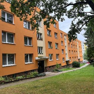 Pronájem bytu 3+1 77 m² Jihlava, Polní