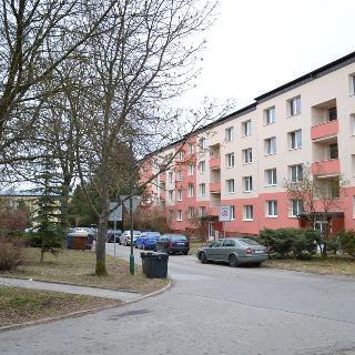 Pronájem bytu 1+1 33 m² Jihlava, Zahradní