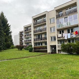 Pronájem bytu 1+kk a garsoniéry 40 m² Jihlava, Vančurova