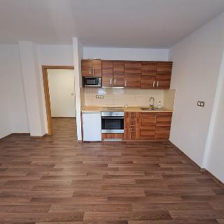 Pronájem bytu 1+kk a garsoniéry 33 m² Jihlava, U Dlouhé stěny