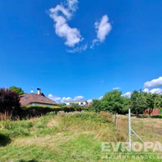 Prodej ostatních pozemků 502 m&sup2; Rapotín
