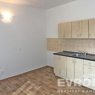 Pronájem bytu 1+kk a garsoniéry 21 m² Mrsklesy