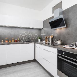 Pronájem bytu 2+1 55 m² Ostrava, Františka Hajdy