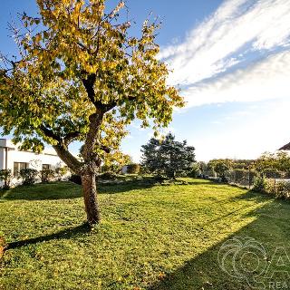 Prodej stavební parcely 960 m² Dolní Břežany, Nad Mlýnem