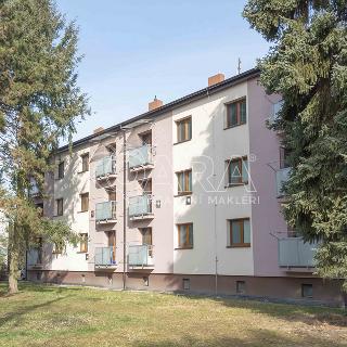 Prodej bytu 2+1 49 m² Neratovice, P. Bezruče