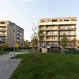 Pronájem bytu 2+kk 2 113 m² Chrudim, V Hliníkách