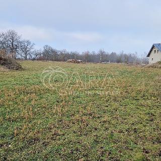 Prodej stavební parcely 800 m² Lázně Toušeň, Na panském